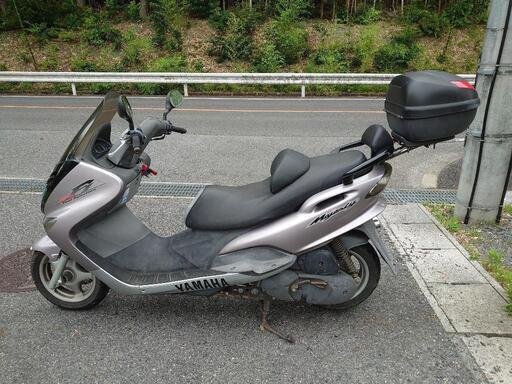 ヤマハ マジェスティ125F エンジン実働車 BOX付き | ega.org.eg