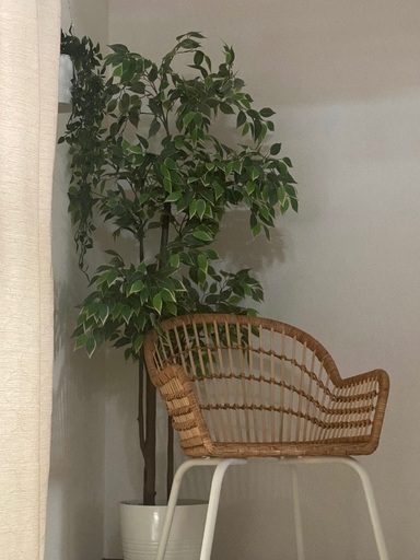 IKEAラタンチェア、フェイクグリーン（匂い取り）、ぶら下げフェイクグリーン