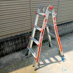 Little Giant Ladder Systems OSHA250