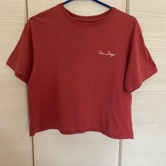 アングリッド　Tシャツ　夏にオススメ！！