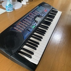 鍵盤楽器 casio CTK-495