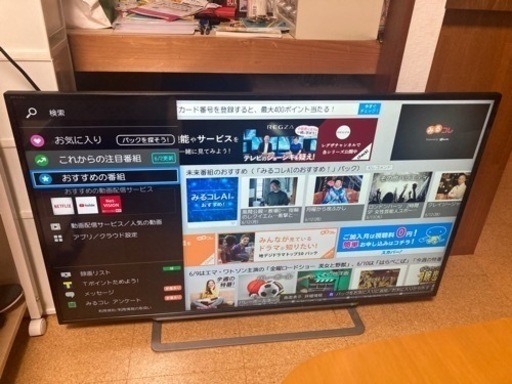 液晶テレビ49インチ　東芝 REGZA 49G20X