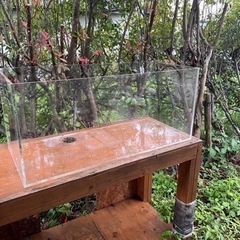 伊藤 悌三、婦人像、希少画集画、新品高級額、額装付、状態良好、油彩