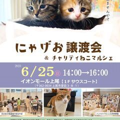 【イオンモール上尾】にゃげお譲渡会