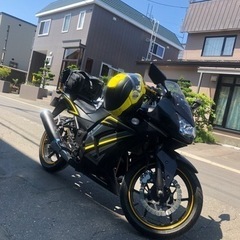 【ネット決済】ninja250R 限定カラー