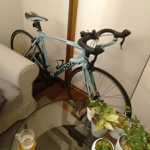 bianchiビアンキROMAIV 700C アルミ 24速 540mm クロス BIANCHIビアンキ ROMA IV 700C アルミ24速 460mmクロス サイクリングに