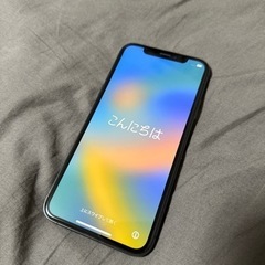 iPhone Xs Space Gray 256 GB Soft...