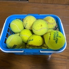 テニスボール 15個