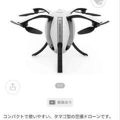 【中古品】他にはない形の卵形ドローンPOWER VISION POWER EGG