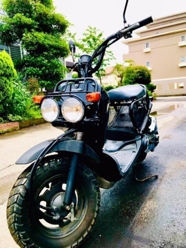 ホンダ　ズーマー　ZOOMER 50 cc