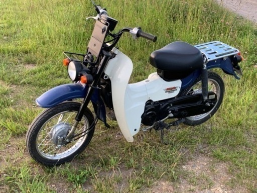 スズキバーディ　50
