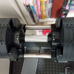 【ジャンク】FLEXBELL（フレックスベル）36kg＆スタンド