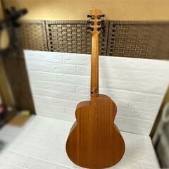 アヌエヌエ/aNueNue Bird M2 アコースティックギター バード アコギ 