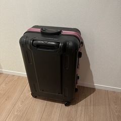 スーツケース(5〜7日間用)