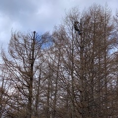 木の伐採　特殊伐採　草刈りします！ − 北海道