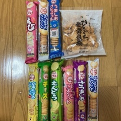 プチシリーズお菓子9本と歌舞伎揚1袋