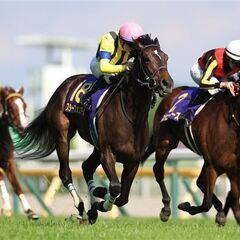 🚨⭐️急募！⭐️🚨6/28（水）馬好き集まれ！大井競馬場集合！「...