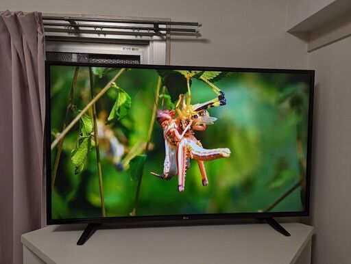 LG 49V型TV 49UH6100-je