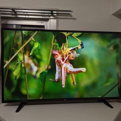 LG 49V型TV 49UH6100-je