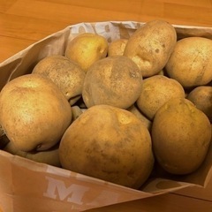 ジャガイモ　十勝こがね　3キロ〜　有機栽培　化学肥料ゼロ