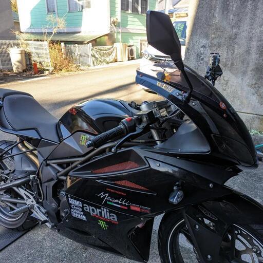 メガリ250r    #ニンジャ250