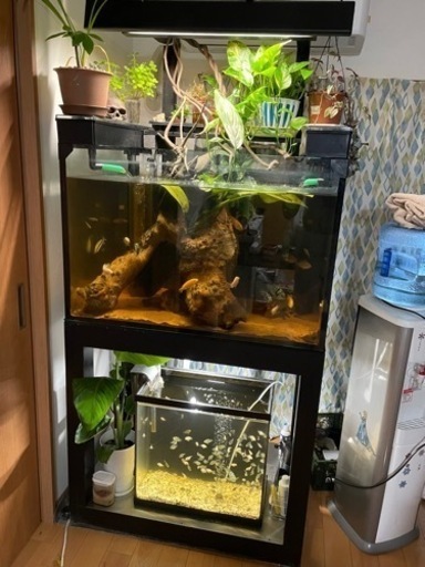 水槽