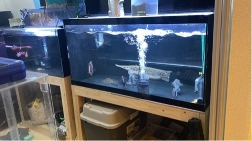 【アクアリウム】熱帯魚 オーダーメイド120cm 水槽 一式セット❗️