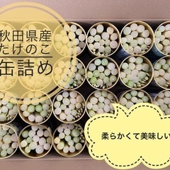 秋田県産　たけのこ　ネマガリダケ　缶詰め　2缶　山菜