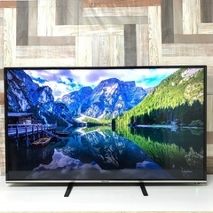 即日受渡❣️49型Wチューナー液晶 TV外付けHDD対応25500円