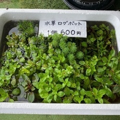 里山めだか　無人販売