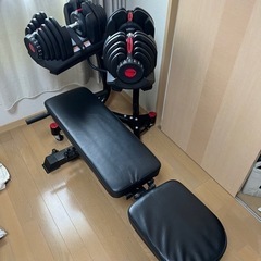 可変式ダンベル40キロと置き台&トレーニングベンチ