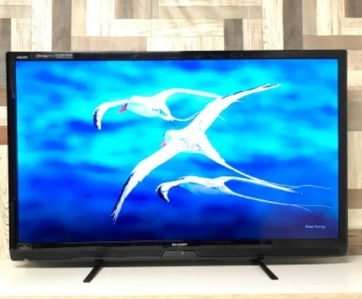 即日受渡❣️国内製造シャープ薄型AQUOS52型TV