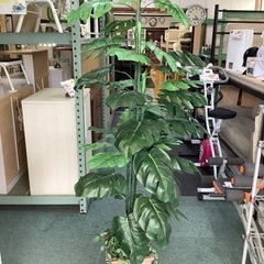【リサイクルサービス八光】高さ170cm　造花　モンステラ　観葉植物