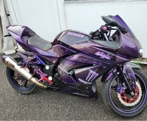 バイクシーズン爆カッコイイN inja250rカスタム
