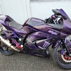 【ネット決済】バイクシーズン🏍爆カッコイイN inja250rカスタム