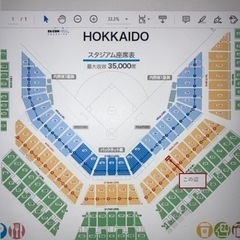 お話し中】8月8日（火）エスコンフィールド チケット 4枚