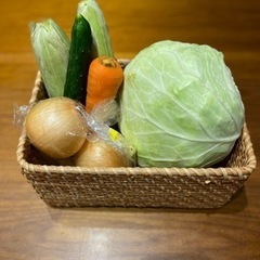 【数量限定】野菜セット