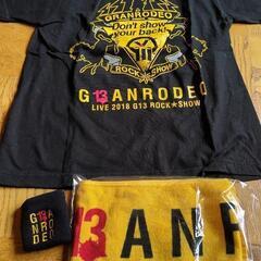 GRANRODEO(谷山紀章、飯塚昌明)LIVE TOUR 20...