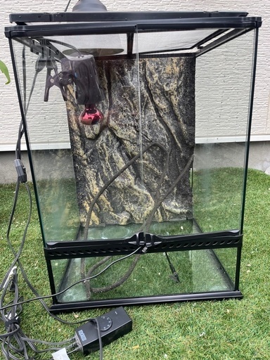 爬虫類飼育セット