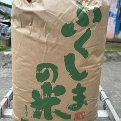 お米　ヒノヒカリ　玄米　30kg