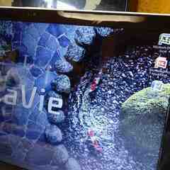 NEC Lavie LS150/SSW ジャンク