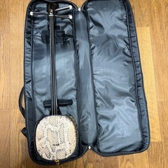 Amazon.co.jp: 三線 沖縄三線 初心者向けスタンダードセット 本