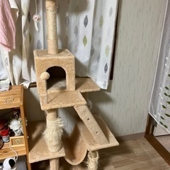 キャットタワー