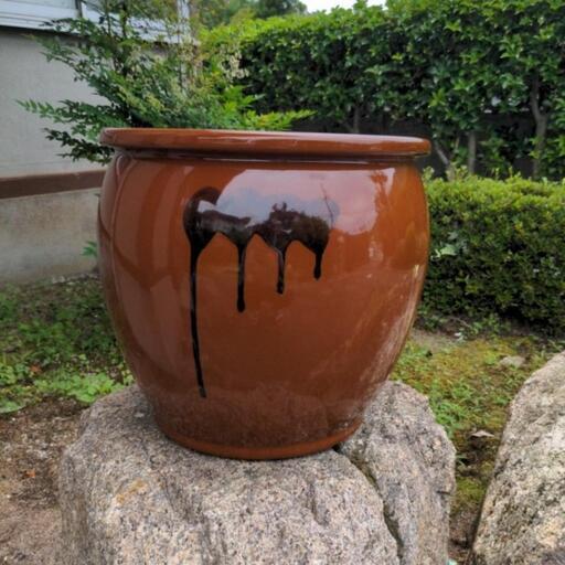 つぼ(7月9日までとなります。)