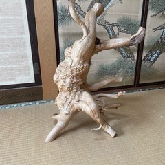 流木　お部屋のオブジェにいかがですか