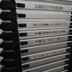 ALINCO　伸縮式はしご　MW-39A