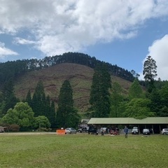 キャンプメンバー大募集です⛺️✨