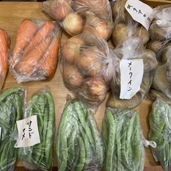 家庭菜園野菜　ジャガイモ、にんじん、サヤエンドウ、玉ねぎ
