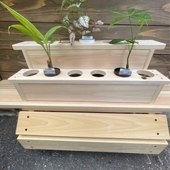 観葉植物の飾り台(ポット6㎝100均専用他)