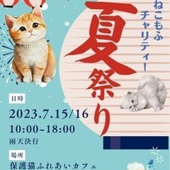 【お子様連れ可能、交通費支給】保護猫カフェの夏祭りスタッフボランティア